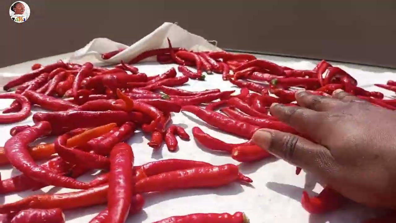 Powdered Pepper| How to Turn Your Fresh Pepper into Powder and Store for Ages