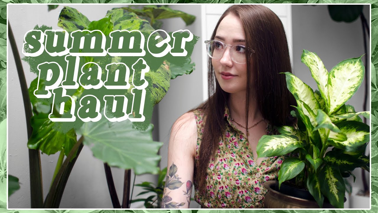 Summer Plant Haul & Greenhouse Tour! 🌿🐝