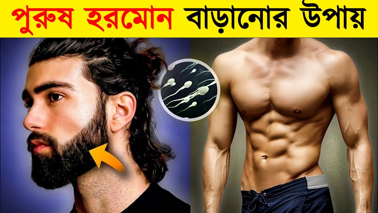 টেস্টোস্টেরন বৃদ্ধির প্রাকৃতিক উপায় | Success Never End