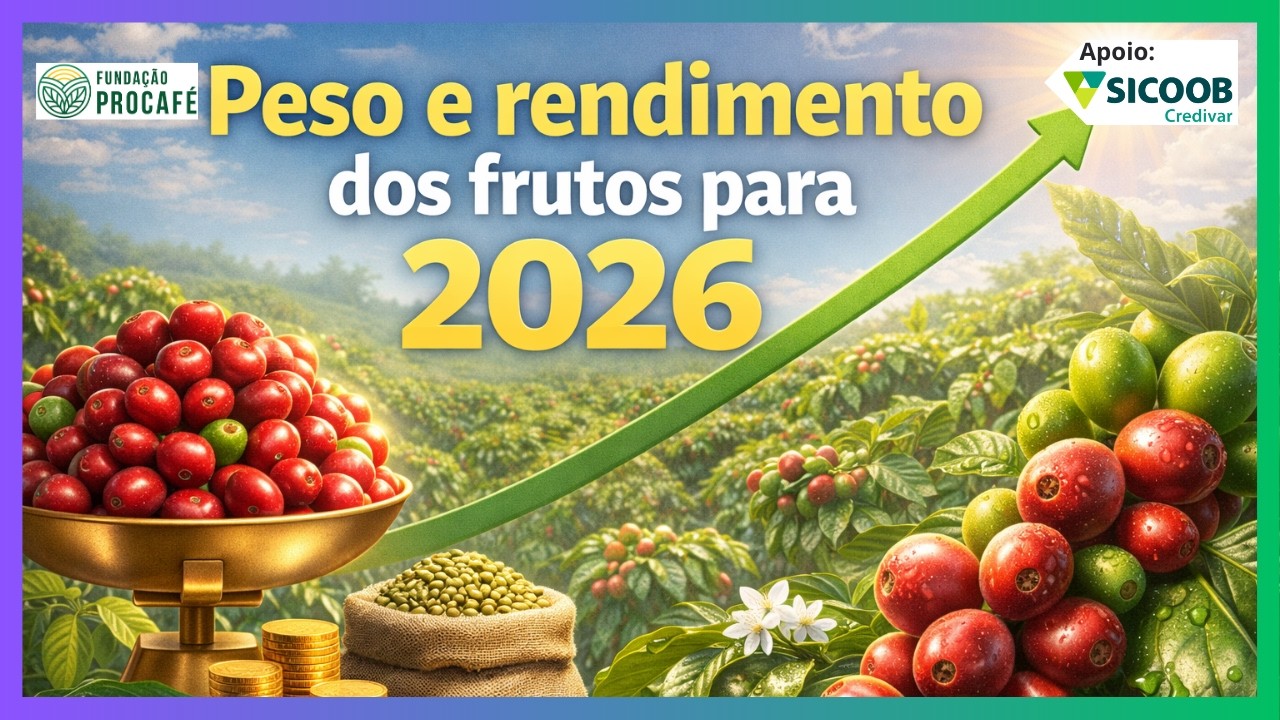 Podcast #211 - Peso e rendimento dos frutos para 2026