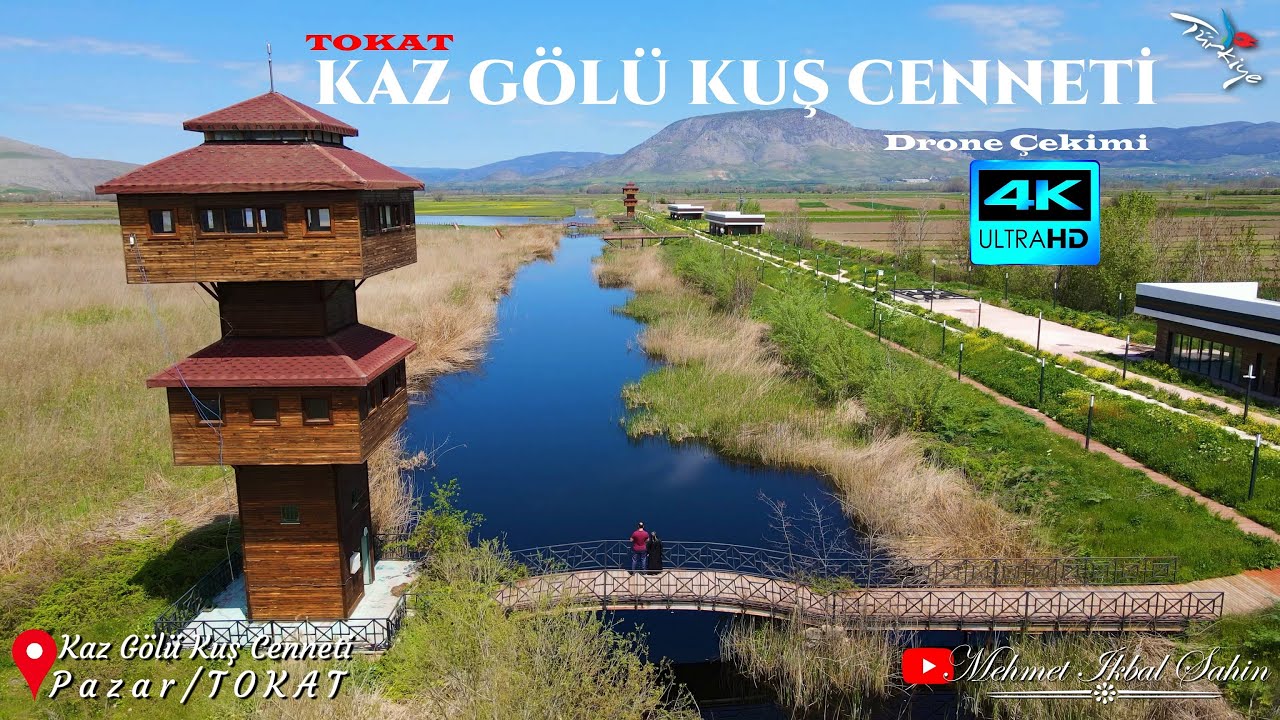Tokat Kaz Gölü Kuş Cenneti Yaban Hayatı Geliştirme Sahası - Kazgölü Milli Parkı Drone Çekimi 2025