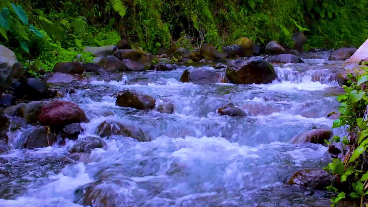 Stay Calm and Focused with Mountain River Flow, Gentle Water White Noise Ambience