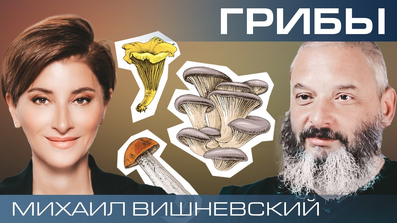 Грибы &ndash; наши союзники или враги? Миколог Михаил Вишневский