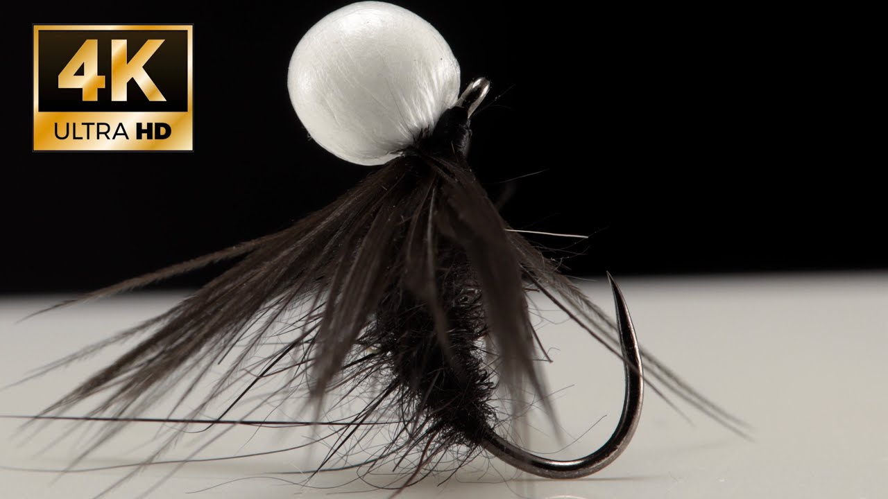 Terrestrial  -DryFly-