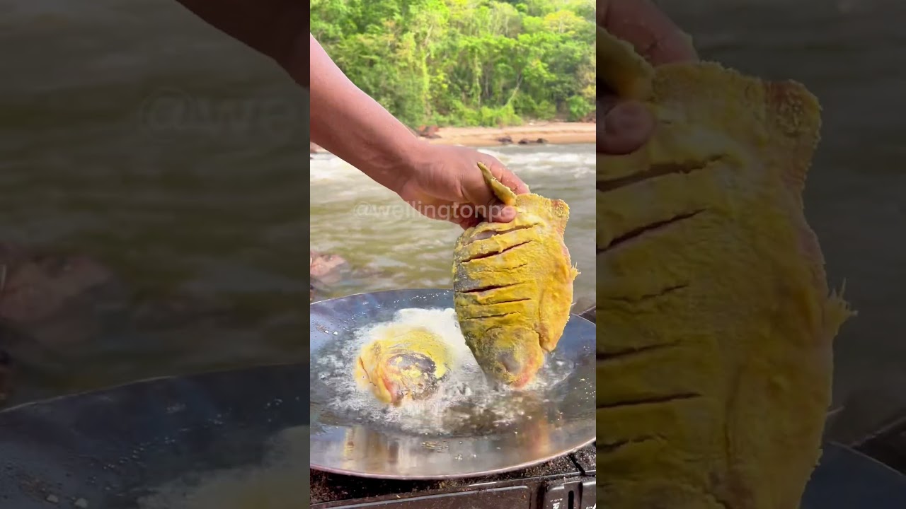 Piranha frita na beira do rio #pesca #pescaria #piranha #fishing #receita #peixefrito
