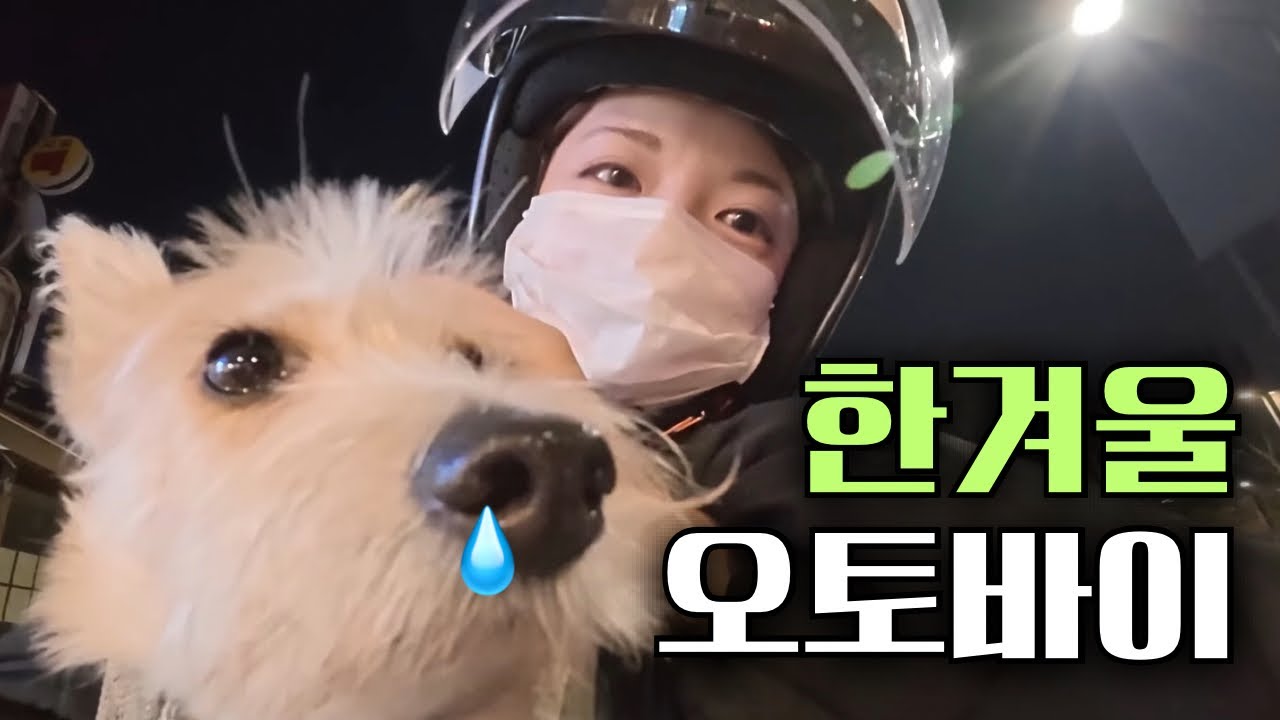1월부터 “초강력 한파시작?!” 오토바이 관리 대작전