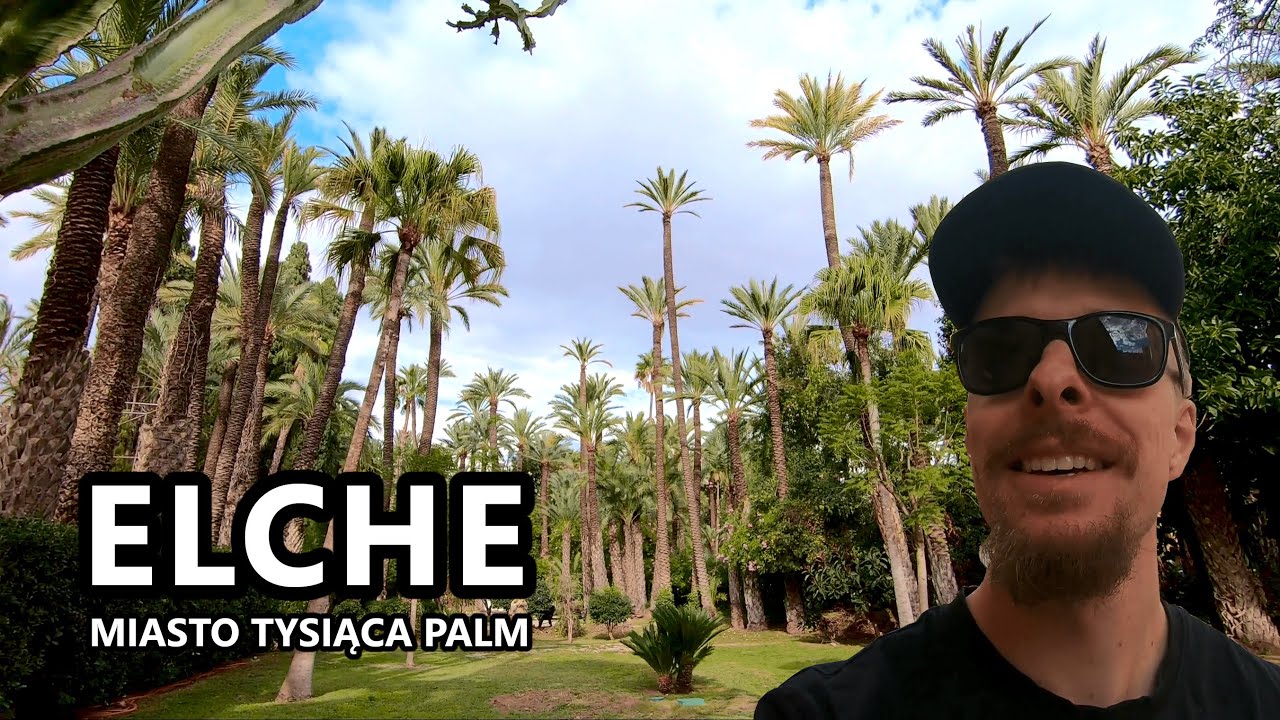 ELCHE w kilka godzin. Co zobaczyć w mieście gaj&oacute;w palmowych?