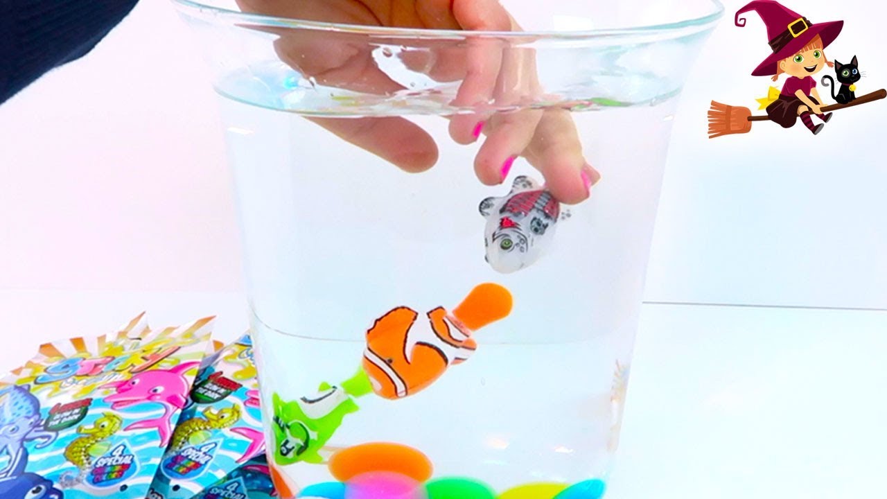 NUEVOS ANIMALES MARINOS de Sticky Ocean EN LA PECERA