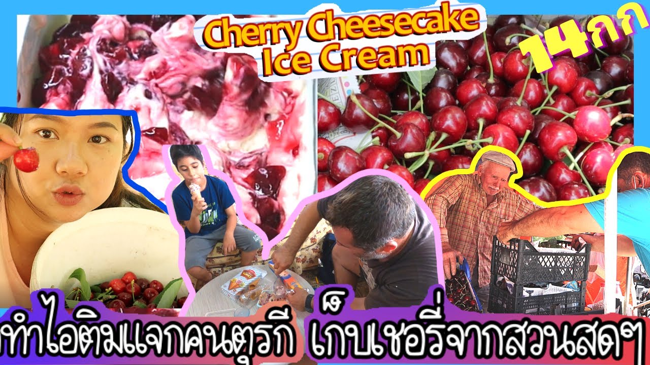 EP.158 พาเก็บเชอรี่ที่สวนสดๆทั้งใหญ่ทั้งกรอบสด เอามาทำ