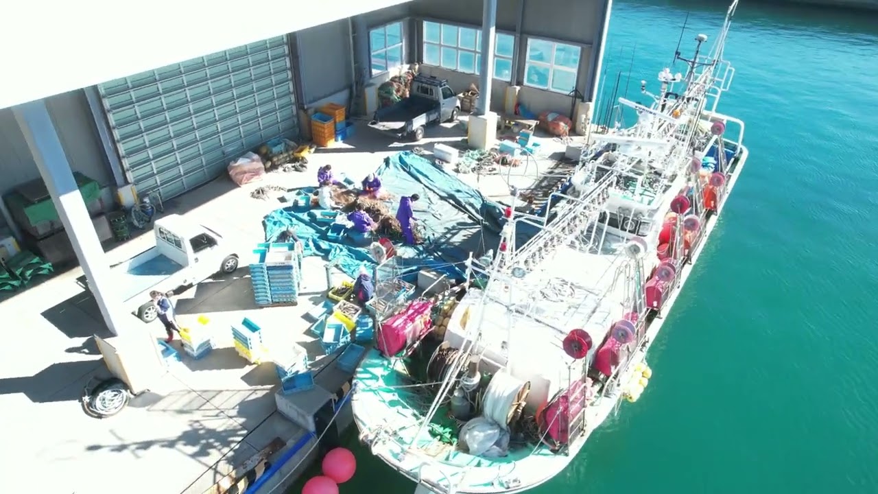 奥尻島　ホッケ網漁のシーン風景です！