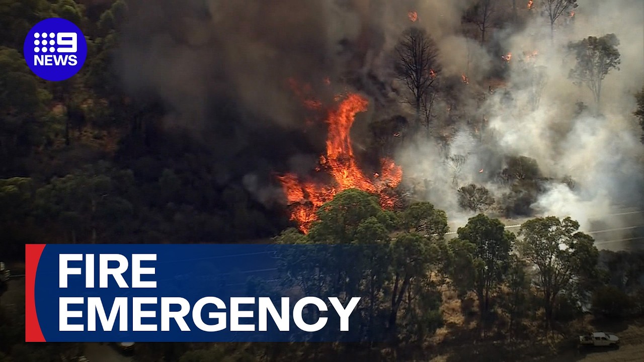Evacuation routes blocked amid Perth bushfire emergency | 9 News Australia