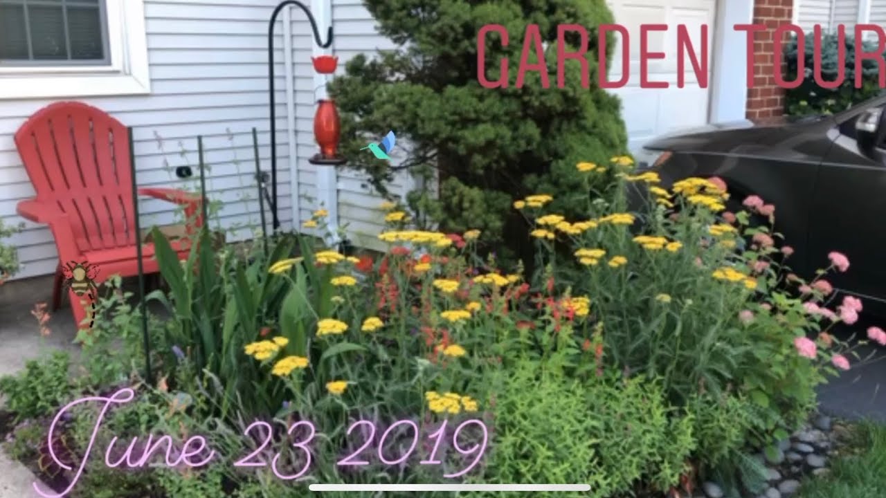 Garden Update: June 23 2019