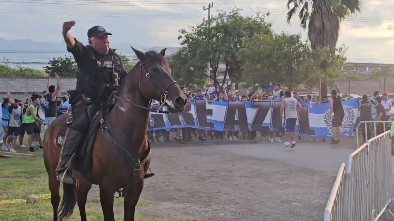 La.sangre azul en el estadio universitario