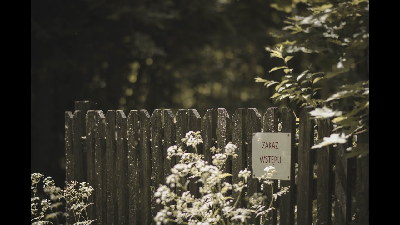 Błogosławiony, który idzie (2023)