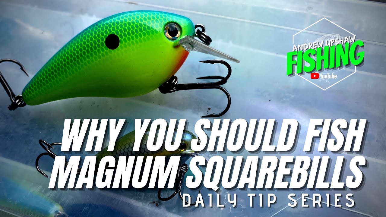 Pro Secrets Exposed! Why YOU Should Used Oversized Squarebills! (Ep. 35)