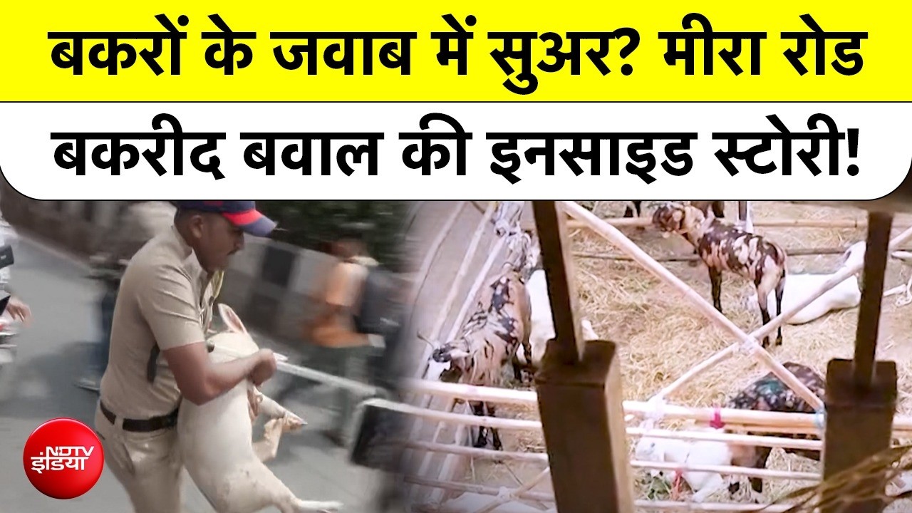 Mira Road Bakrid Row: VHP पर Knife Attack और Protest में Pig की एंट्री का पूरा Viral Video सच