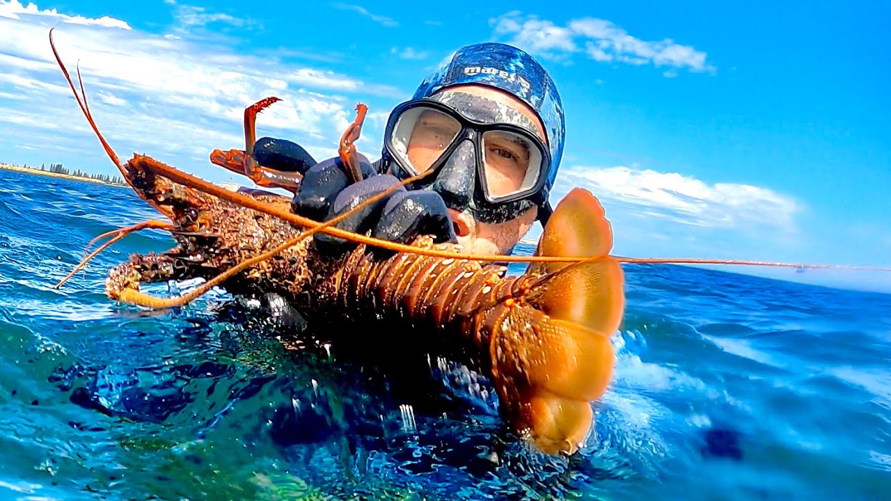 Crayfish free diving- Soft Plastic Fishing Estuary cod