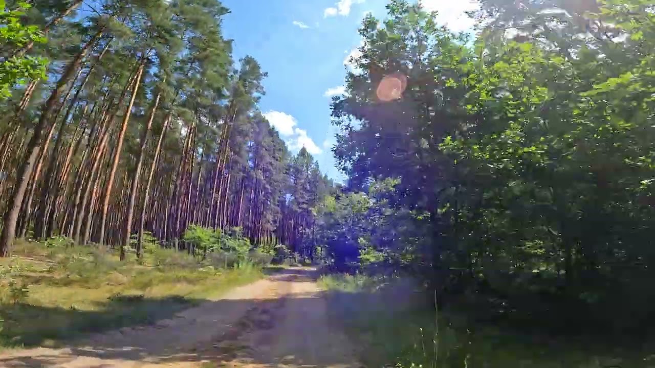 Kampinoski Park Narodowy  2. 08. 2025