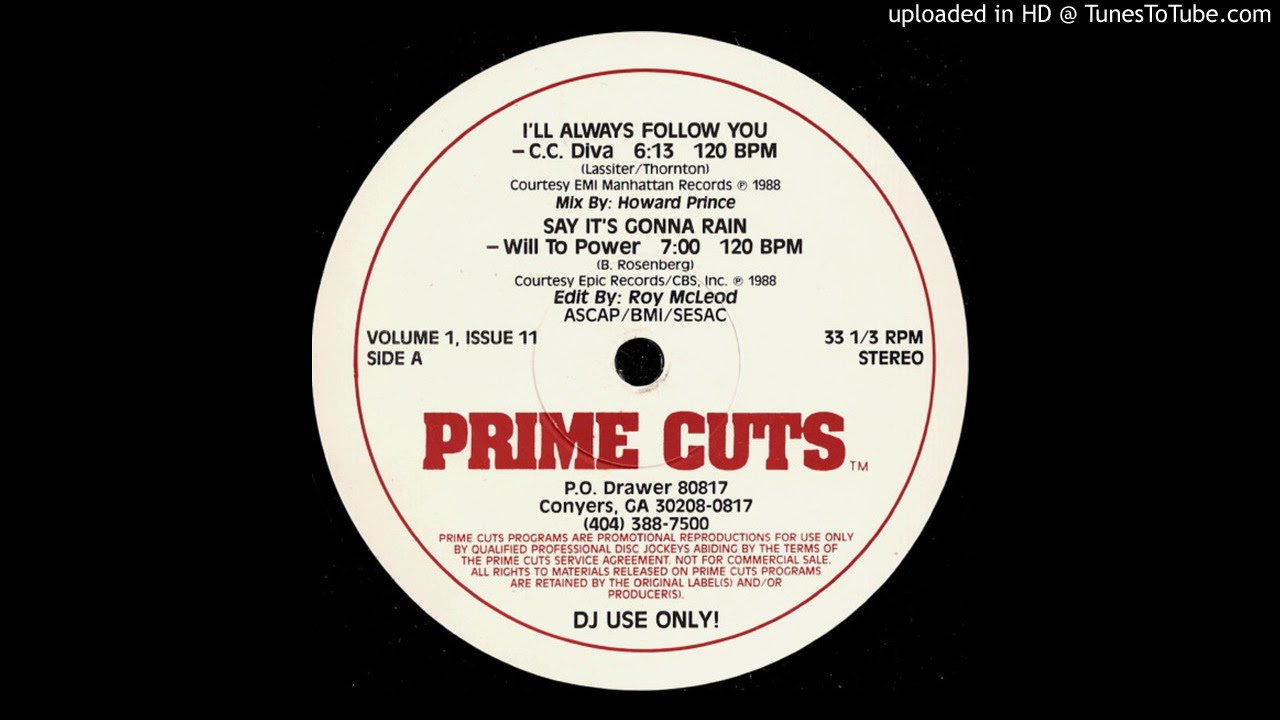 Will To Power - Say It's Gonna Rain (Prime Cuts Version)