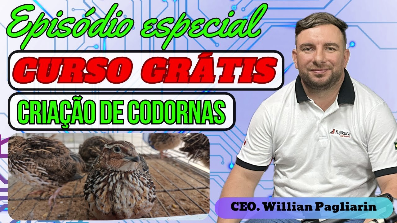 Curso gratuito para criação de codornas Fujikura.