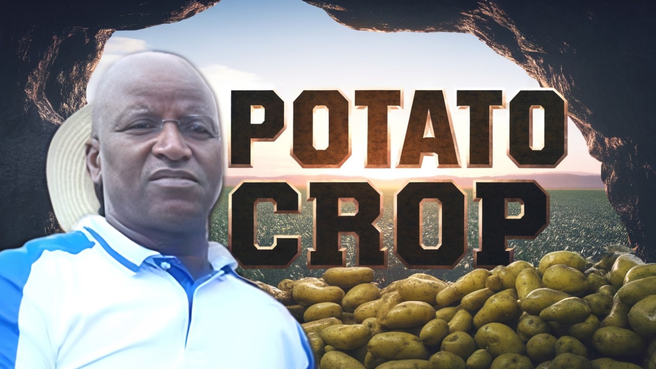He’s Growing Potatoes That Changed His Life 🇿🇦🥔