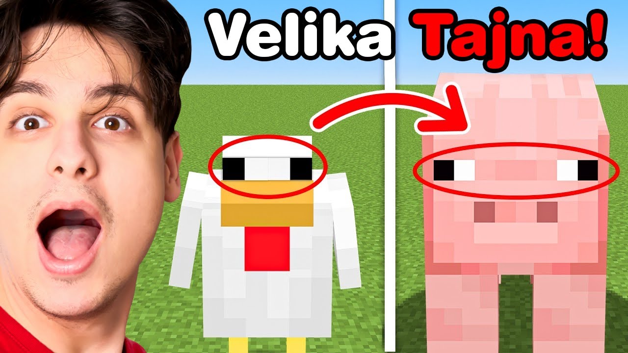 MINECRAFT TAJNE KOJE ĆE TI ZAUVEK OSTATI U GLAVI!