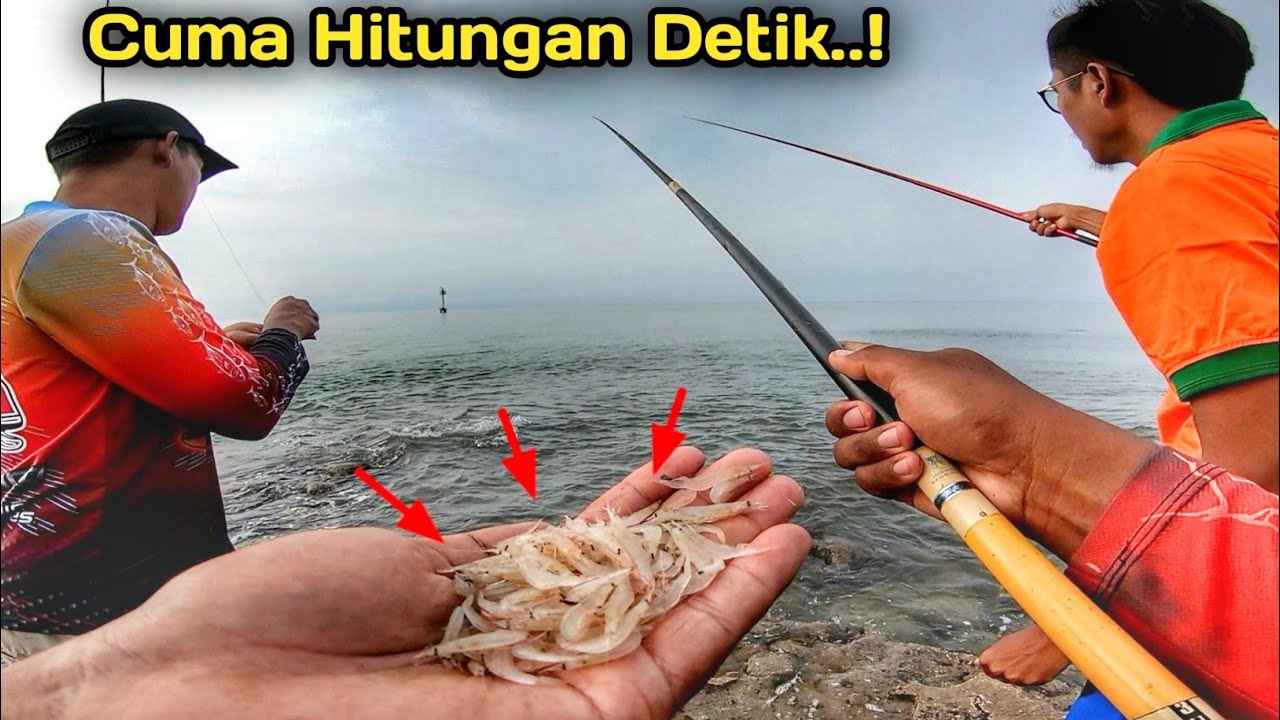 Mbrusut..!!😁 Pemancing Lain Menyesal Tidak Pakai Umpan ini..!