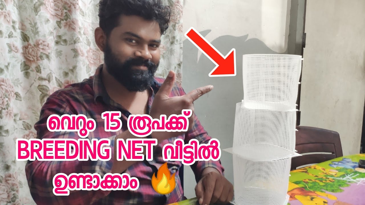 15 രൂപ ചിലവിൽ Guppy breeding net | How to make a guppy breeding box [2020]