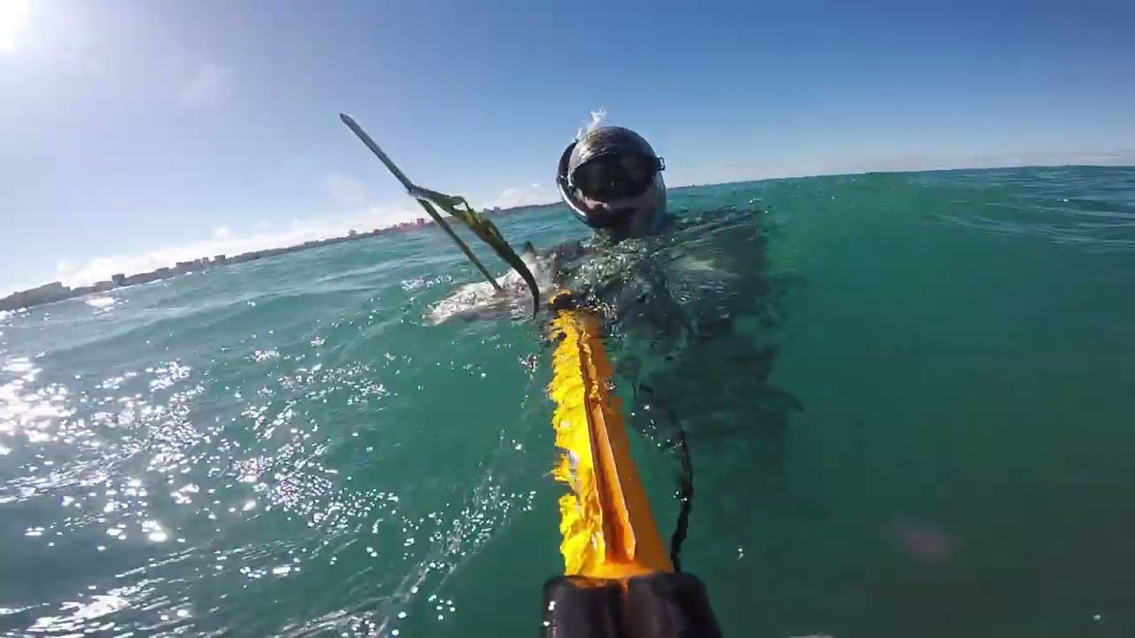 Pescasub na Restinga , Perdi a caranha🤦 A moqueca salvou