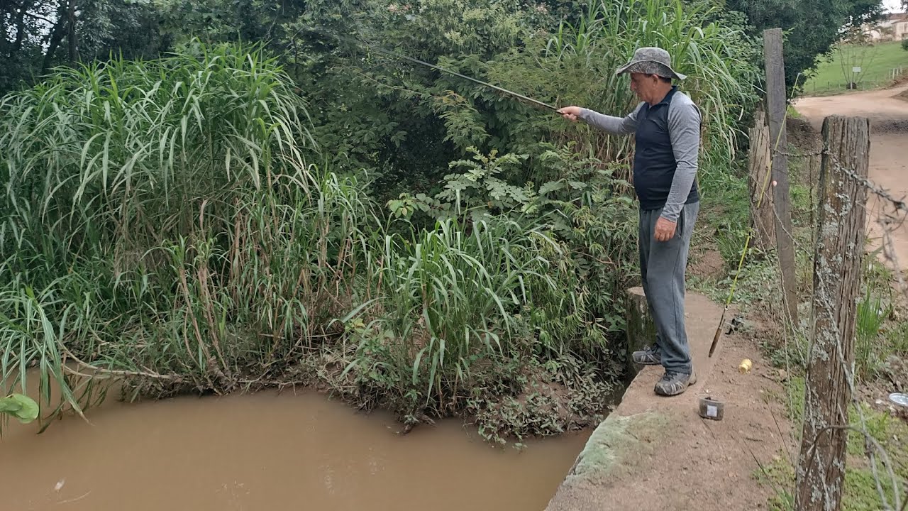 Será que pegamos muitos peixes? | Pescaria no córrego#lambari #pesca#fazenda 