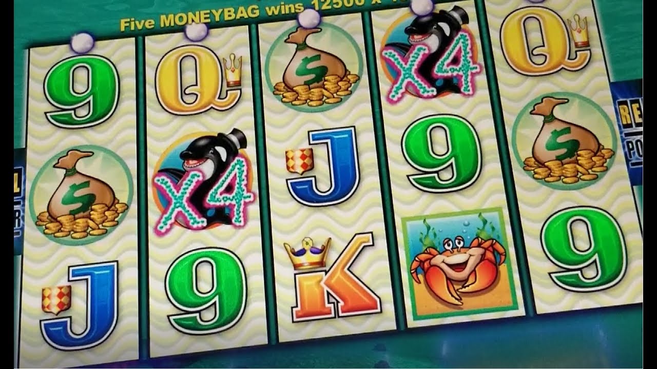 Amazing Jackpot Handpay On Whales Of Cash Original Slot