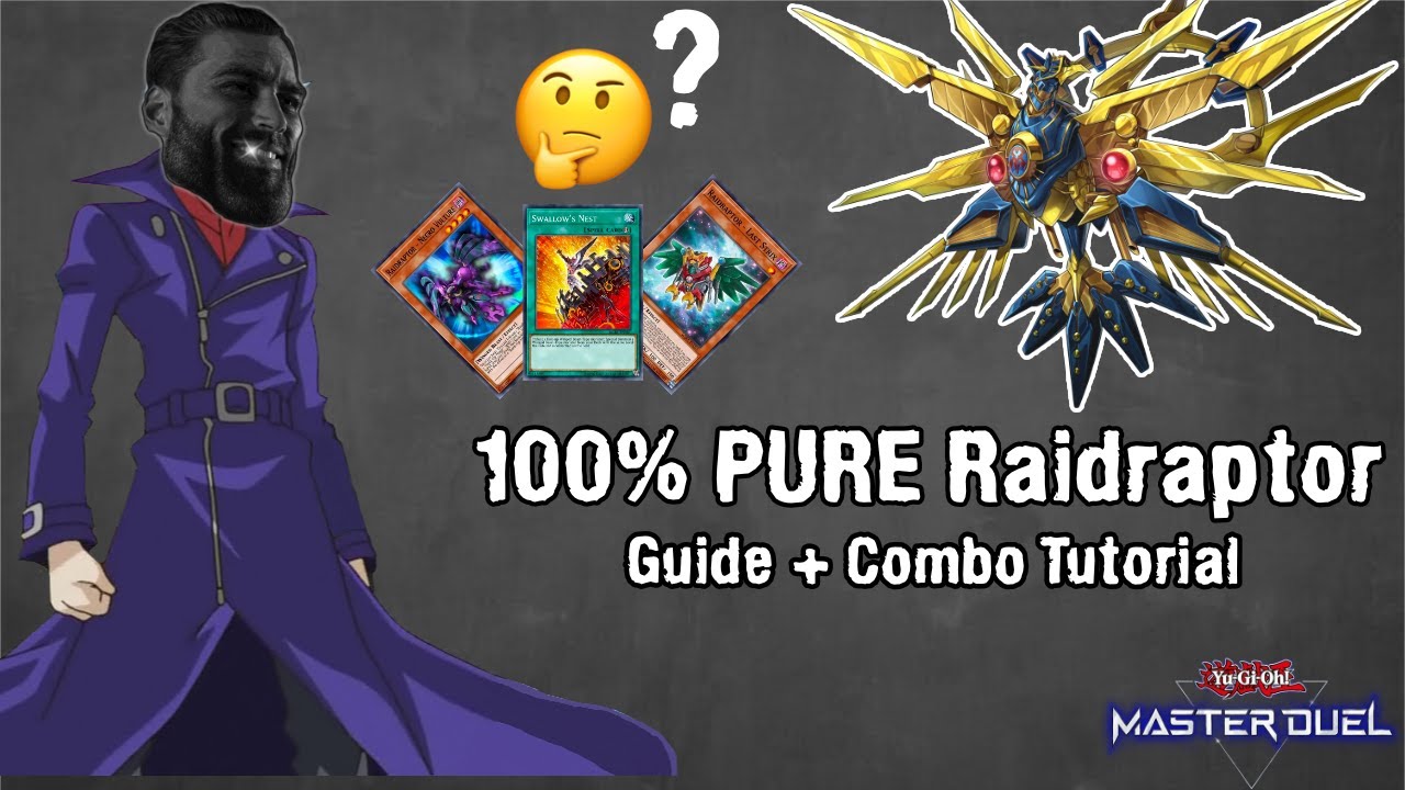 100% PURE Raidraptor Guide + Combo Tutorial [Yu-Gi-Oh! Master Duel]