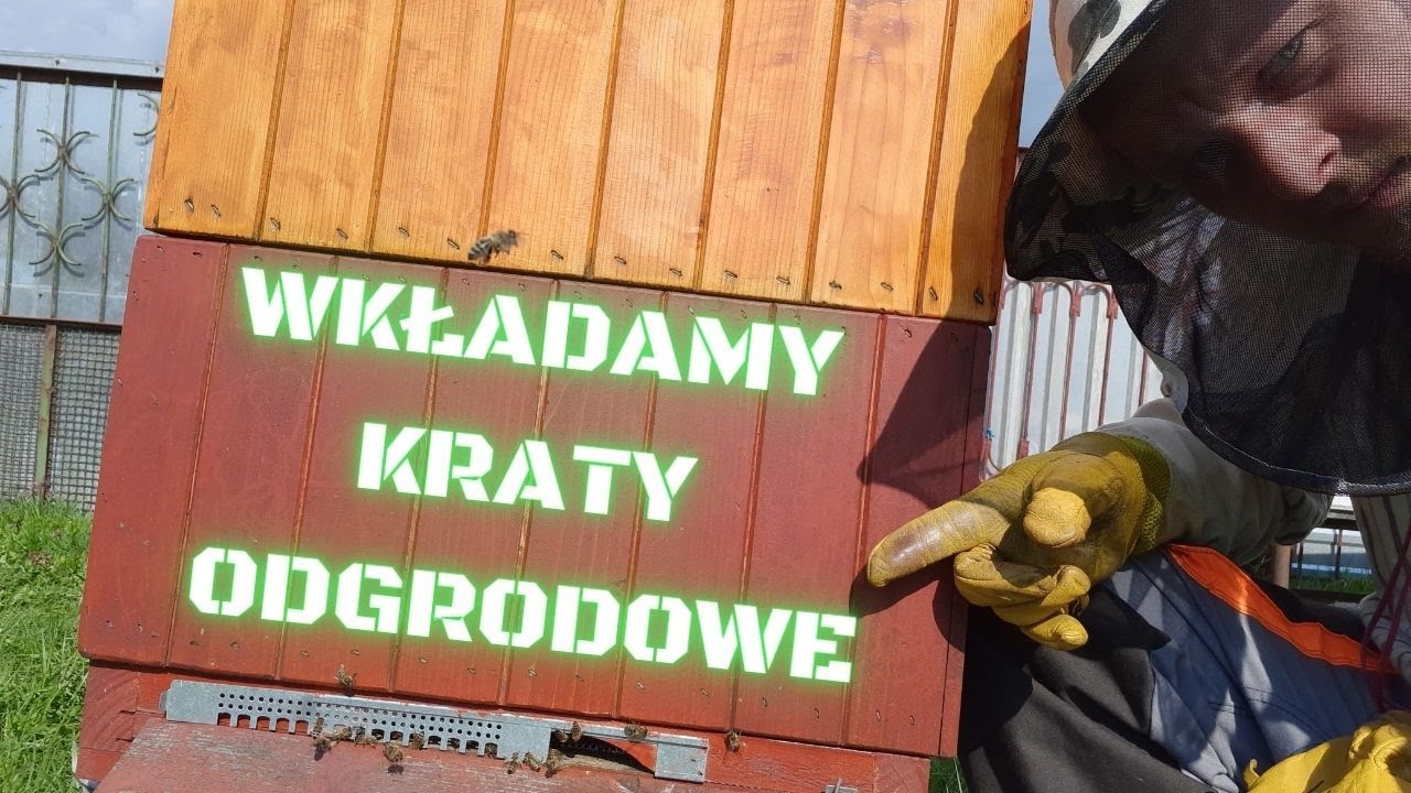 Wkładamy kraty odgrodowe i szykujemy ule do sezonu. Pierwszy film z pasieki #GospodarstwOdZera