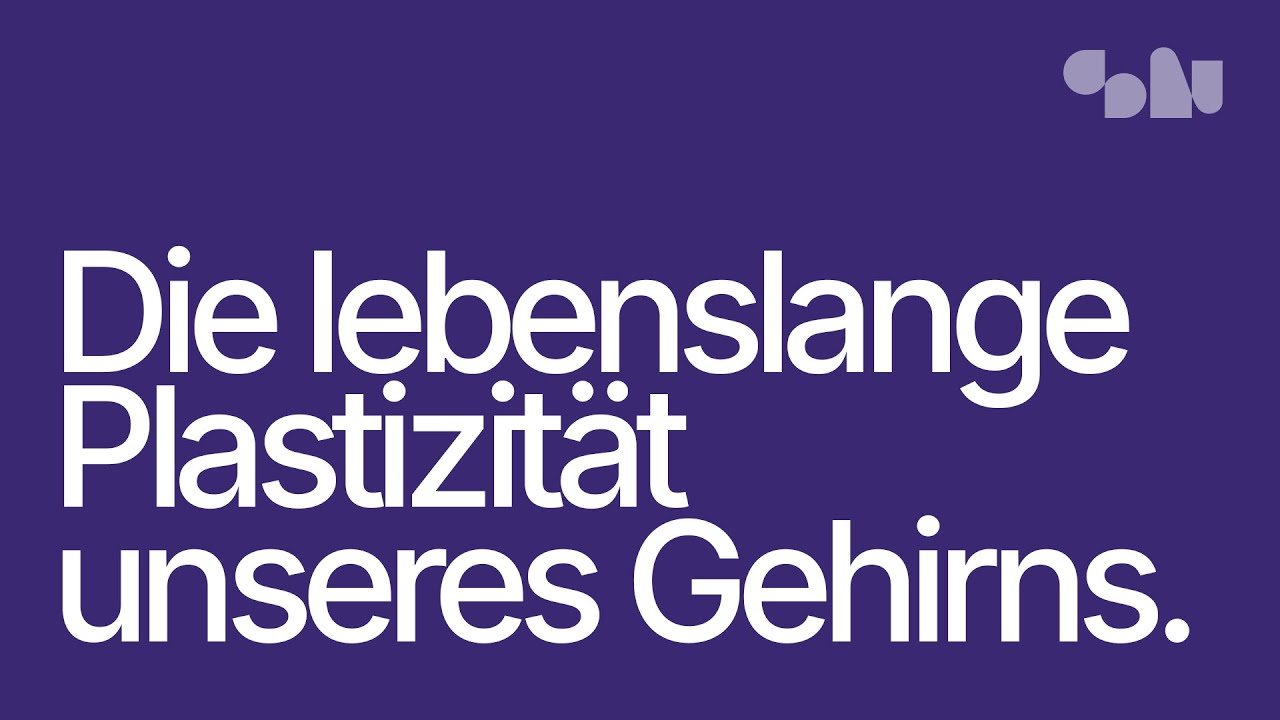Veränderung als Prinzip: Die lebenslange Plastizität unseres Gehirns