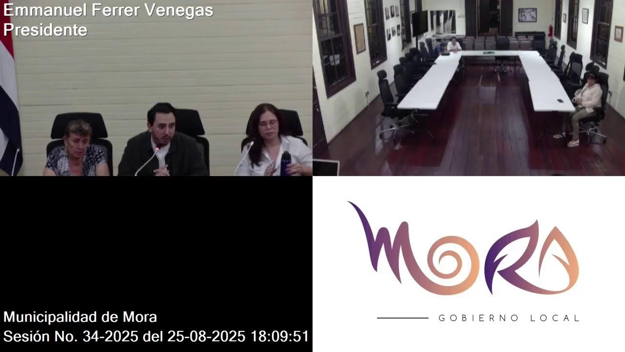 Sesión Extraordinaria N.º 34-2025