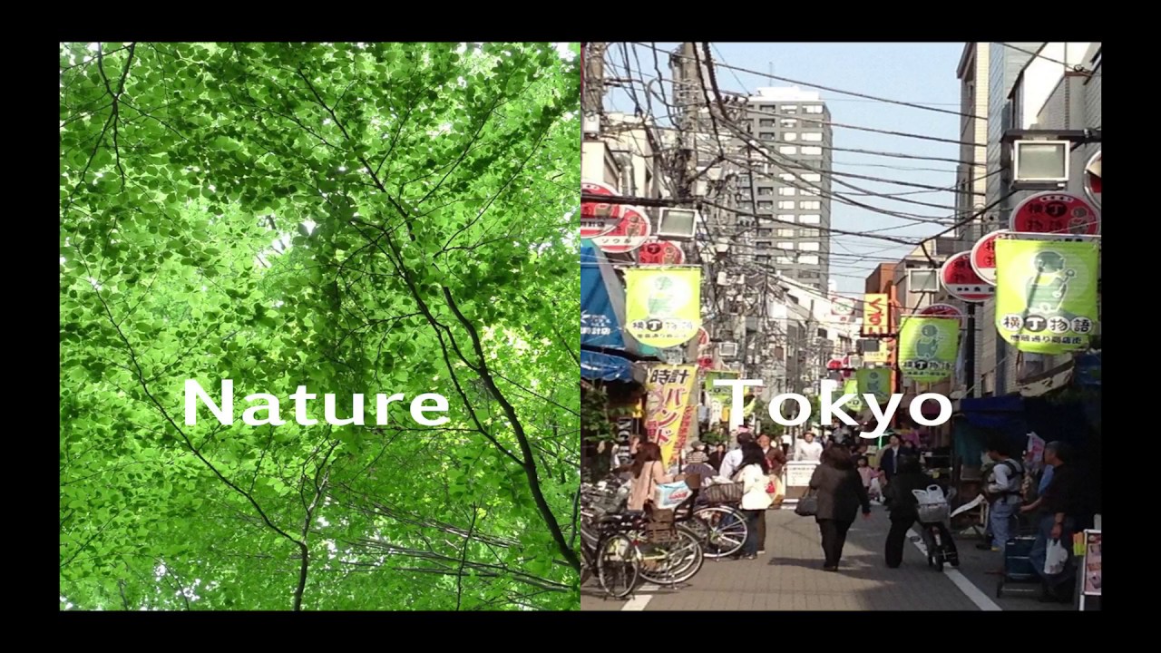 藤本　壮介　「Between Nature and Architecture」（国際文化会館 2017年4月）