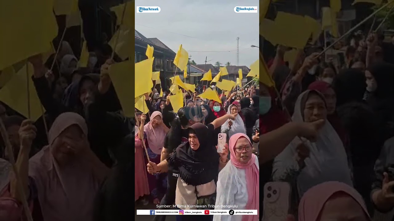 Ratusan Warga Batu Bandung Kepahiang Kibarkan Bendera Kuning Saat Kuburan Gita Fitri Dibongkar