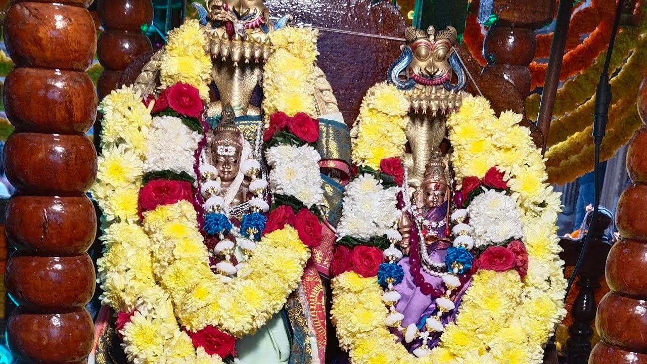 సామర్లకోట రథోత్సవం🙏🙏🙏