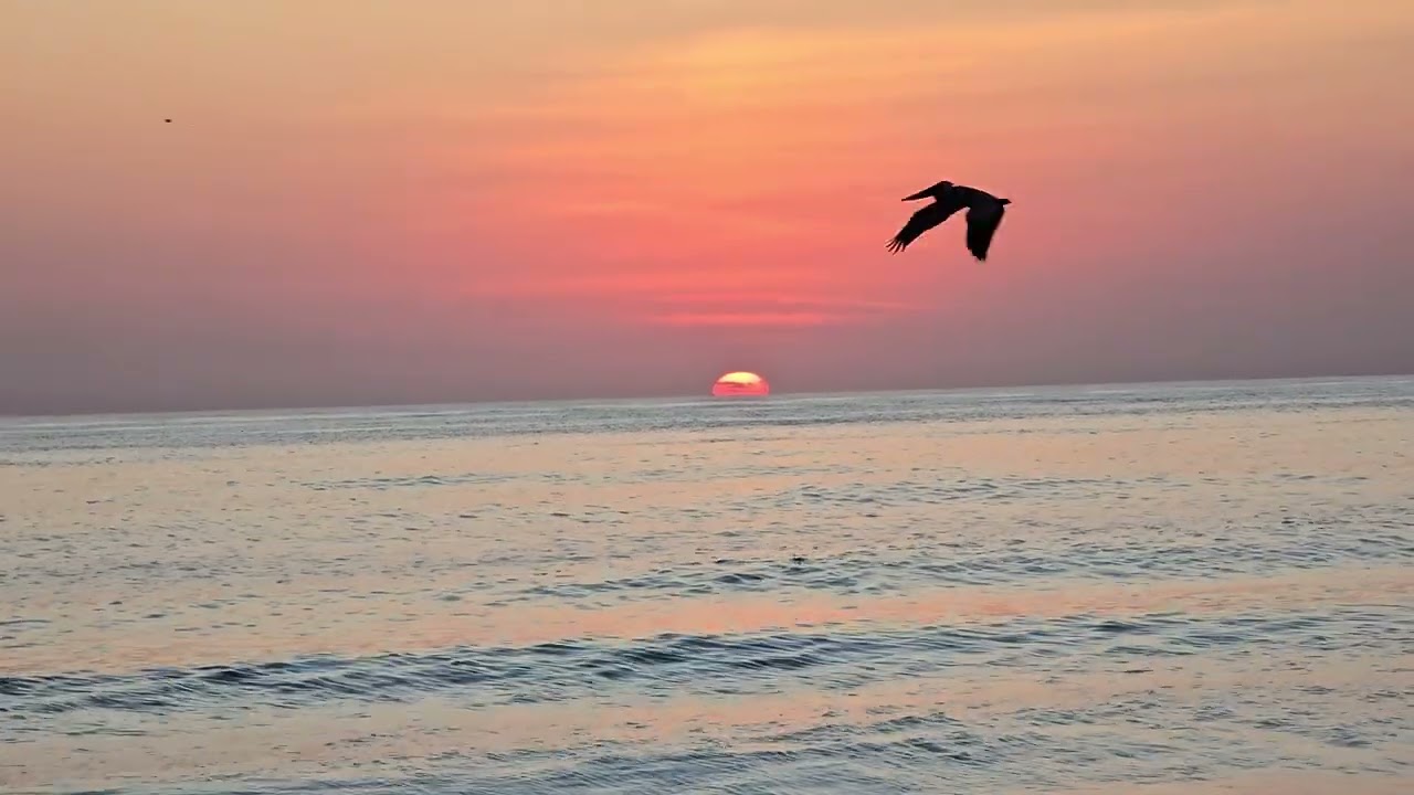 Sunset AMI 2/26/26
