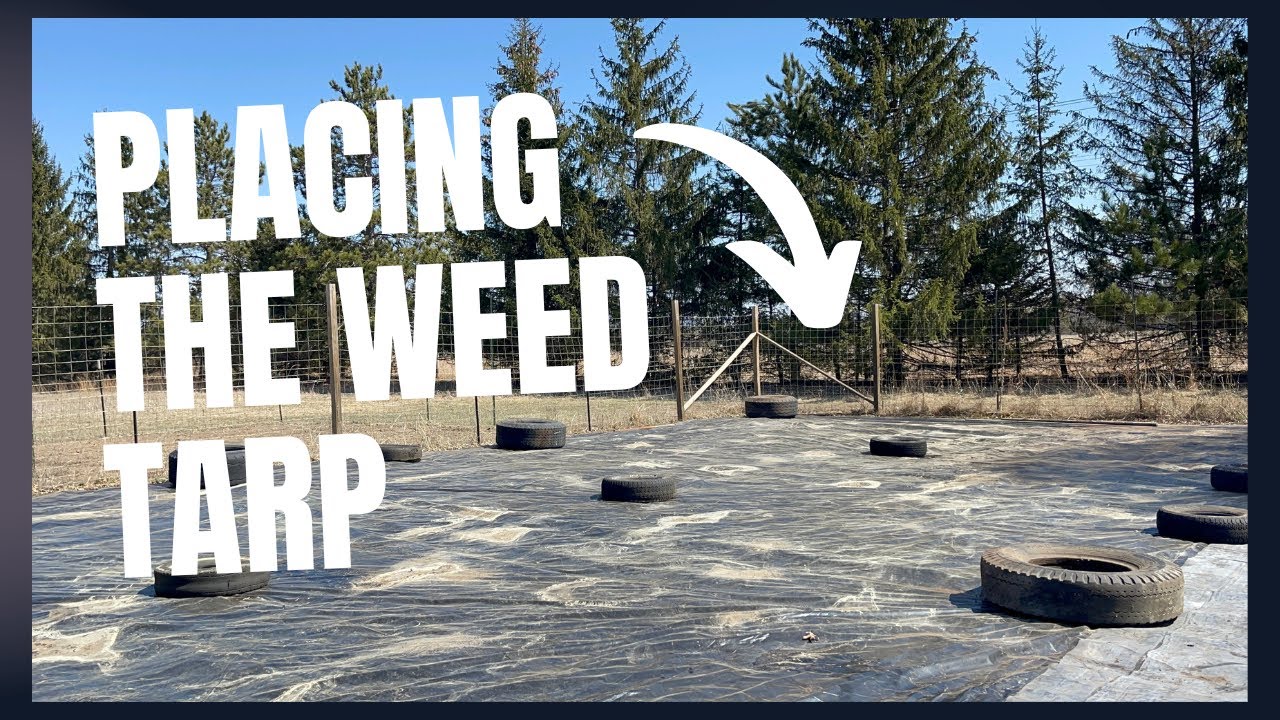 Farm Garden / Placing the Weed Tarp to Eliminate Weeds