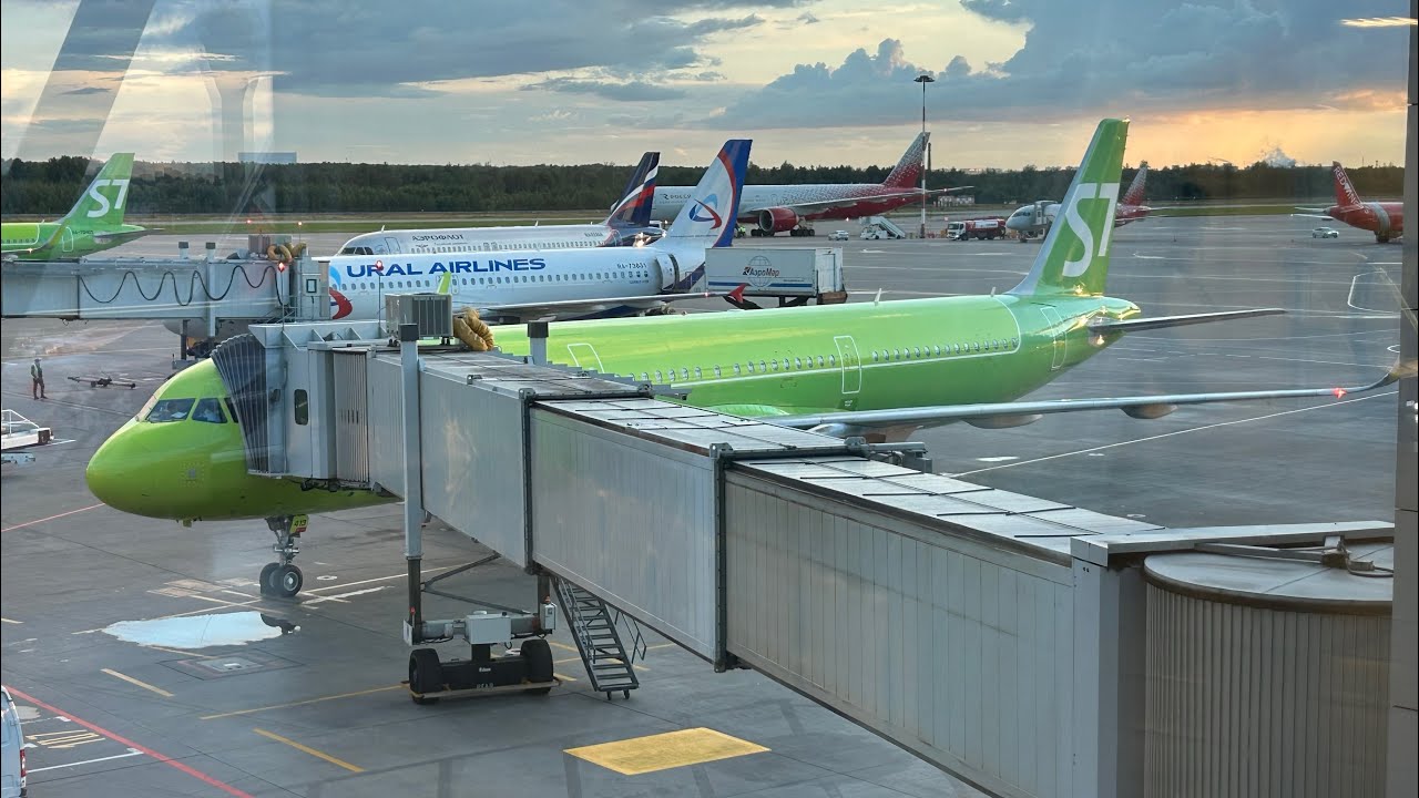 Перелет Новосибирск - Санкт-Петербург/ А\К S7 airlines/ Airbus a321neo