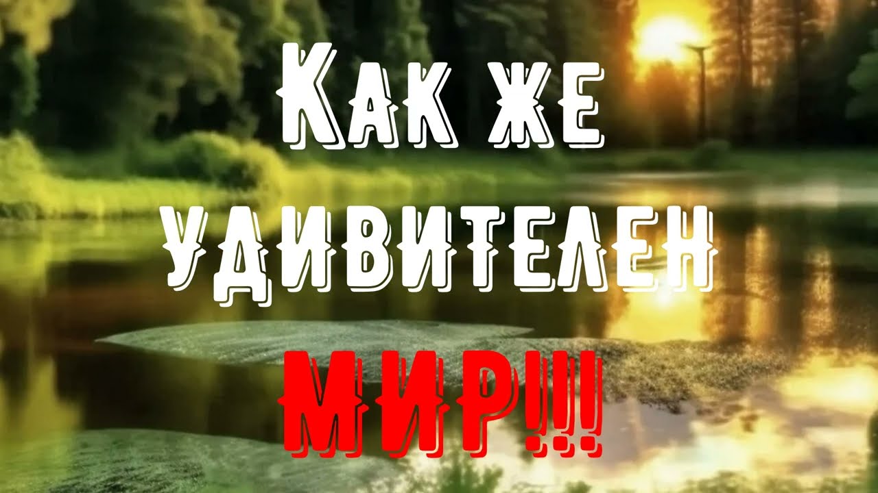 КАК ЖЕ УДИВИТЕЛЕН И ПРЕКРАСЕН МИР(HOW AMAZING AND BEAUTIFUL IS THE WORLD)!!!