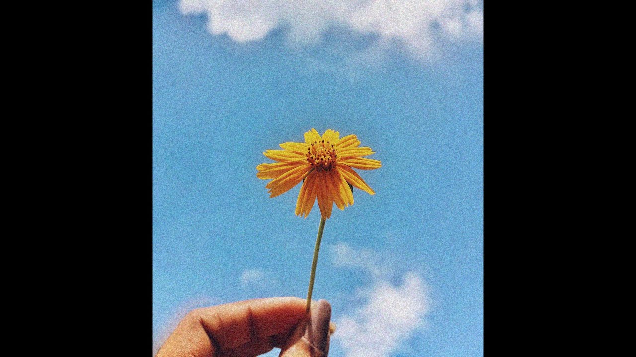 (FREE) *ukulele* Powfu x Rxseboy Type Beat - 