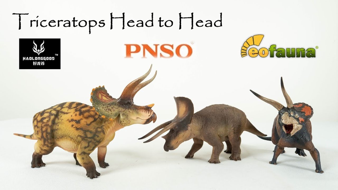 322: Triceratops Head to Head - Haolonggood vs EoFauna vs PNSO