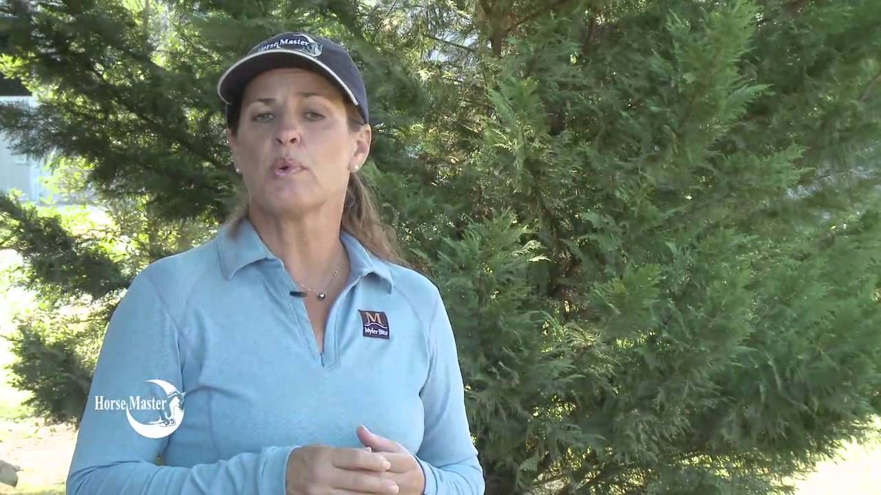 Julie Goodnight: Quick Tip Stirrup Sizing for Safety
