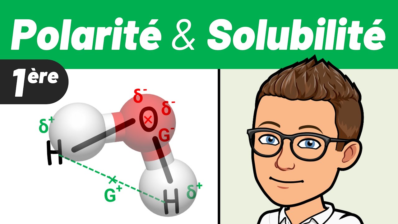 SOLUBILITÉ & POLARITÉ ✅ Géométrie, polaire & apolaire 💪 1ère spé 🎯 Chimie