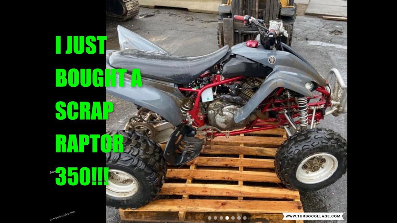 2009 Raptor 350