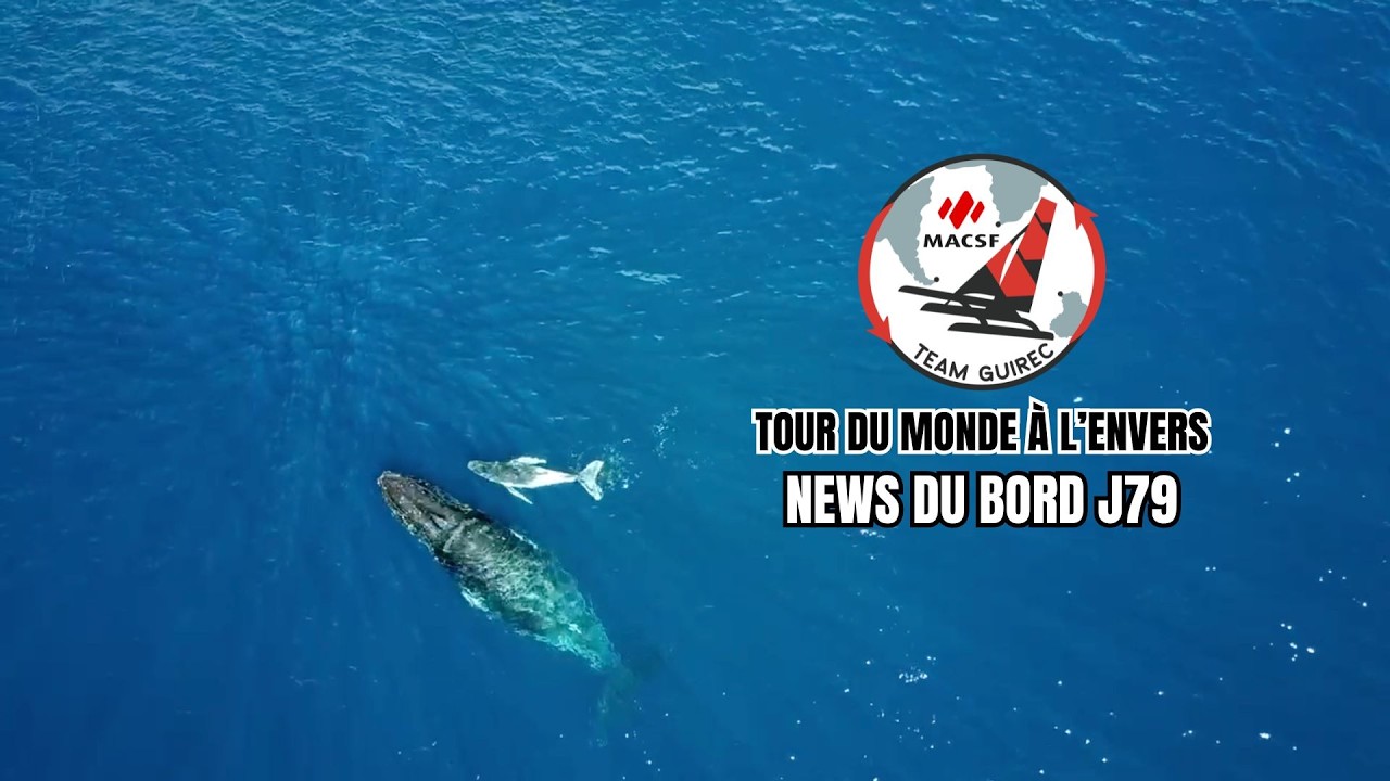 Tour du monde &agrave; l'envers : News du bord J79
