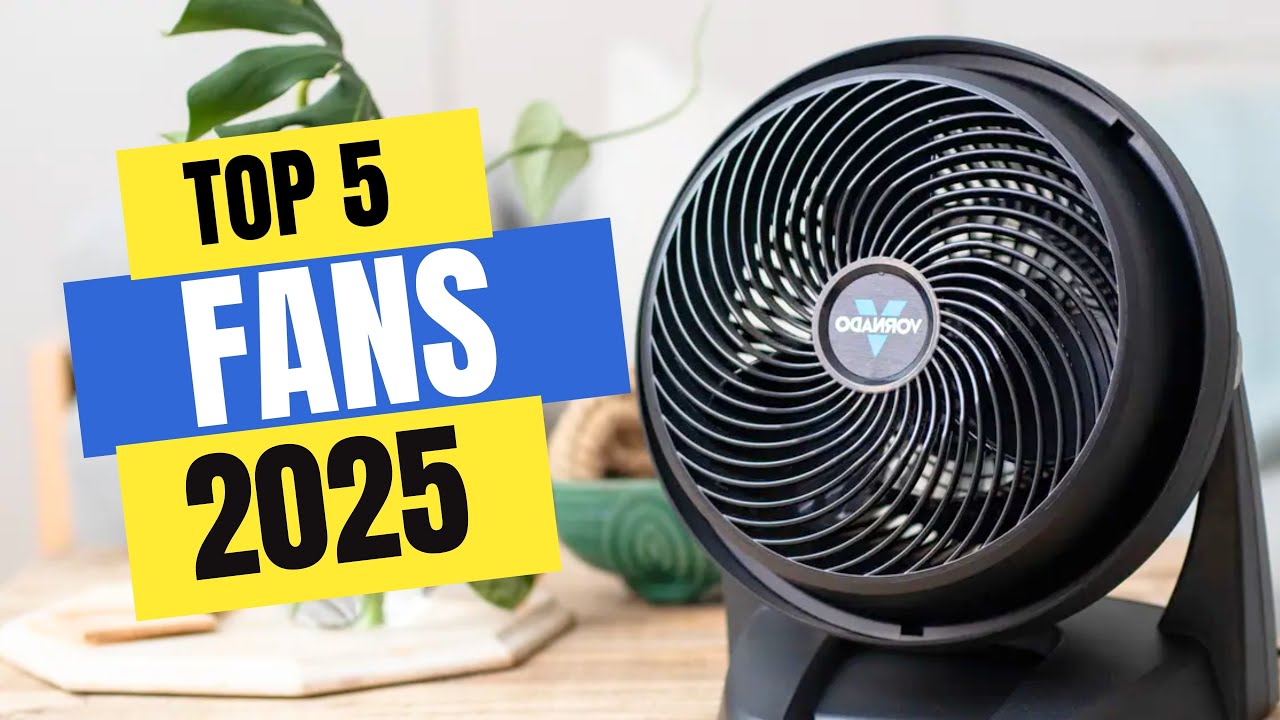 Best Fans 2025 | Which Fan Should You Buy in 2025?
