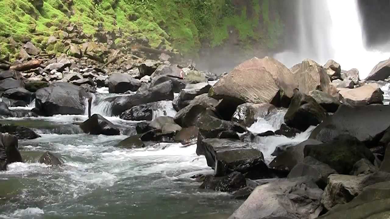 The Properties of Water